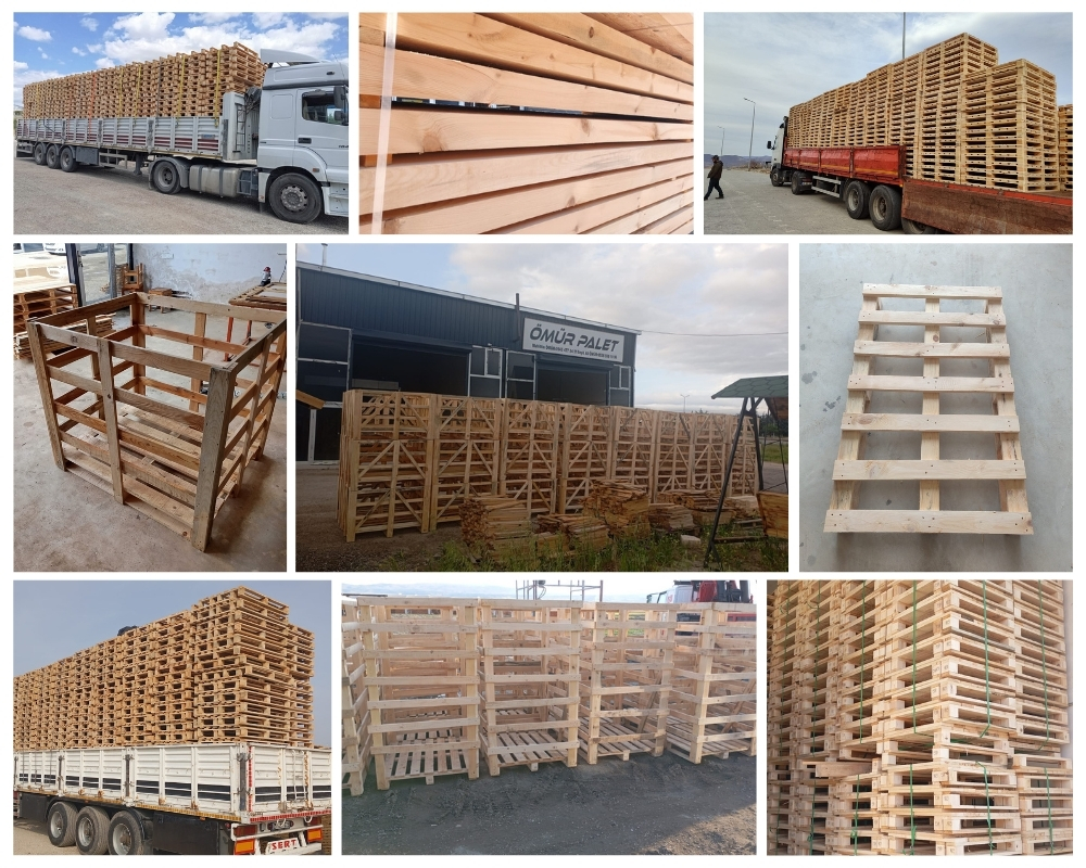 Campi Salentina Palette Europe, Acheter des palettes en gros